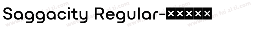 Saggacity Regular字体转换